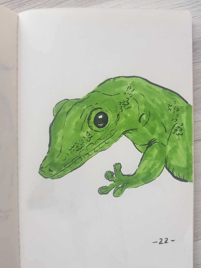 My project for course: Daily Sketching for Creative Inspiration 8