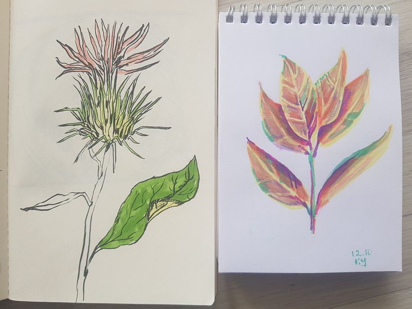 My project for course: Daily Sketching for Creative Inspiration 11