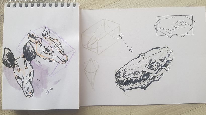 My project for course: Daily Sketching for Creative Inspiration 12
