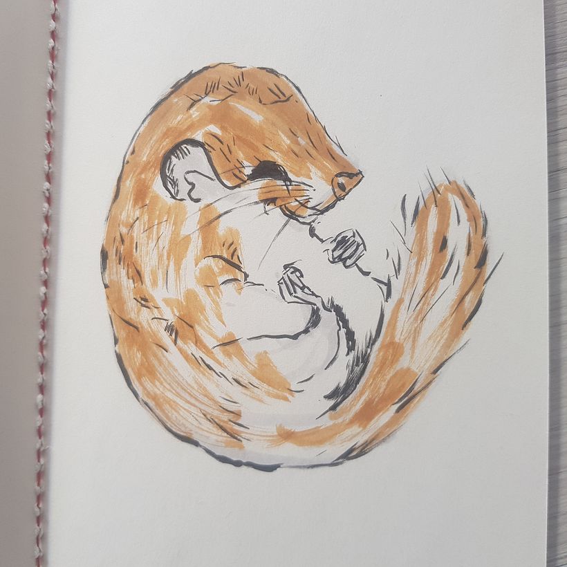 My project for course: Daily Sketching for Creative Inspiration 13
