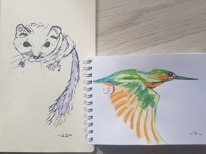My project for course: Daily Sketching for Creative Inspiration 14