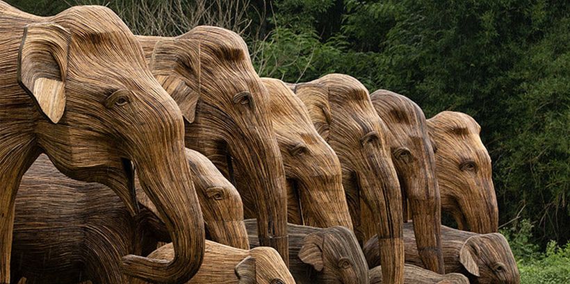 The Great Elephant Migration