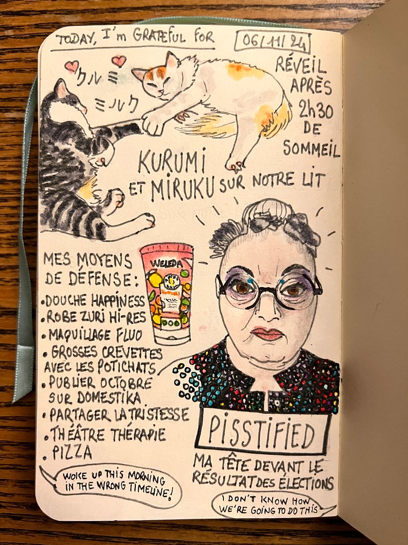 Carnet de gratitude : November 2024 1