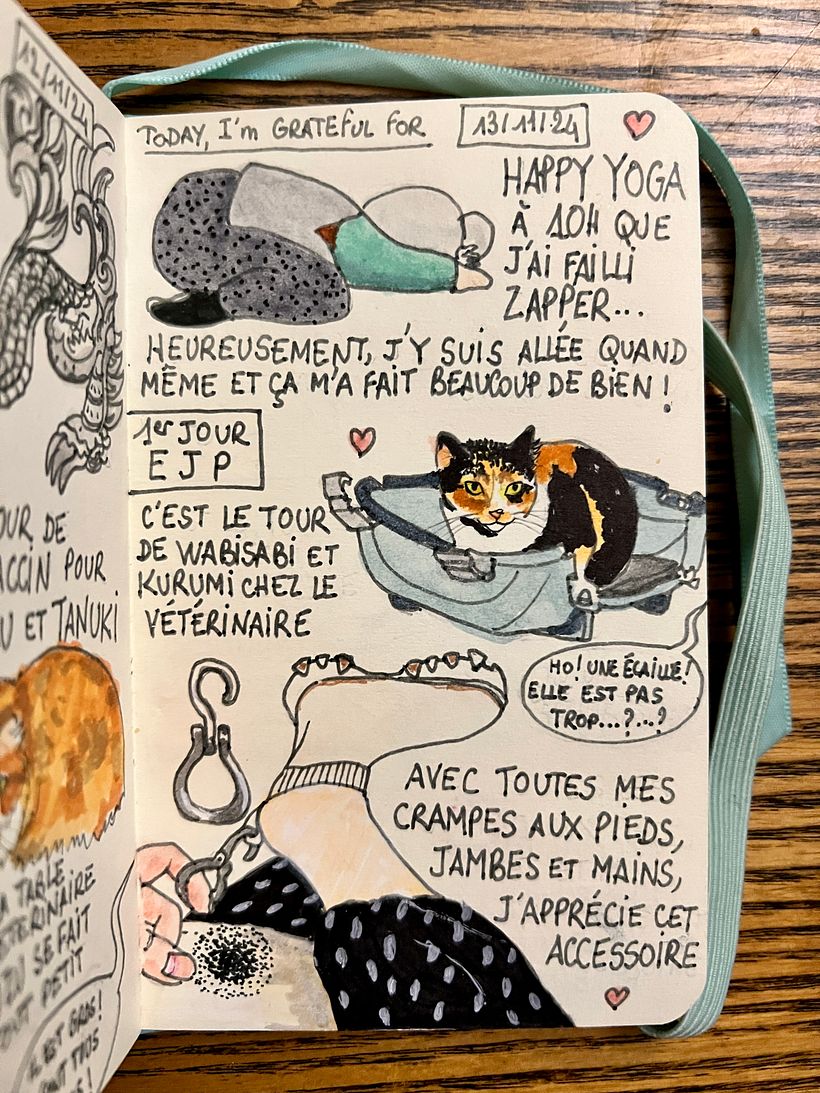 Carnet de gratitude : November 2024 1