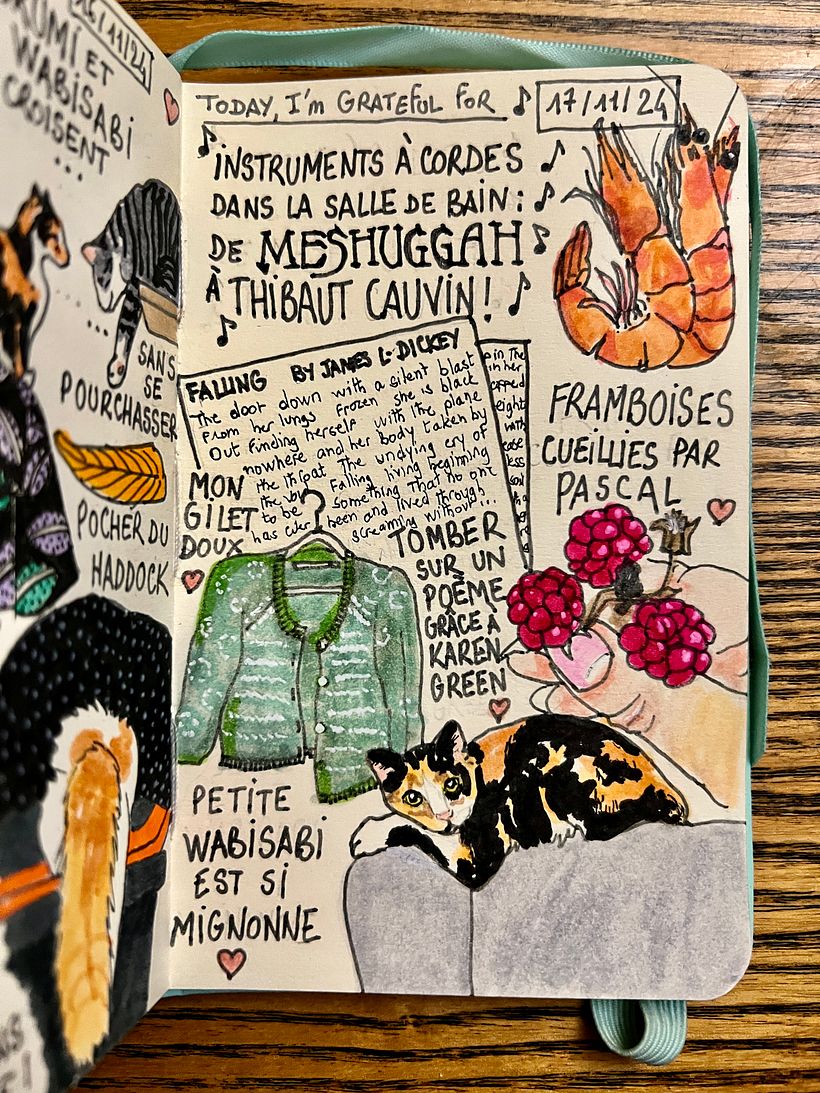 Carnet de gratitude : November 2024 1
