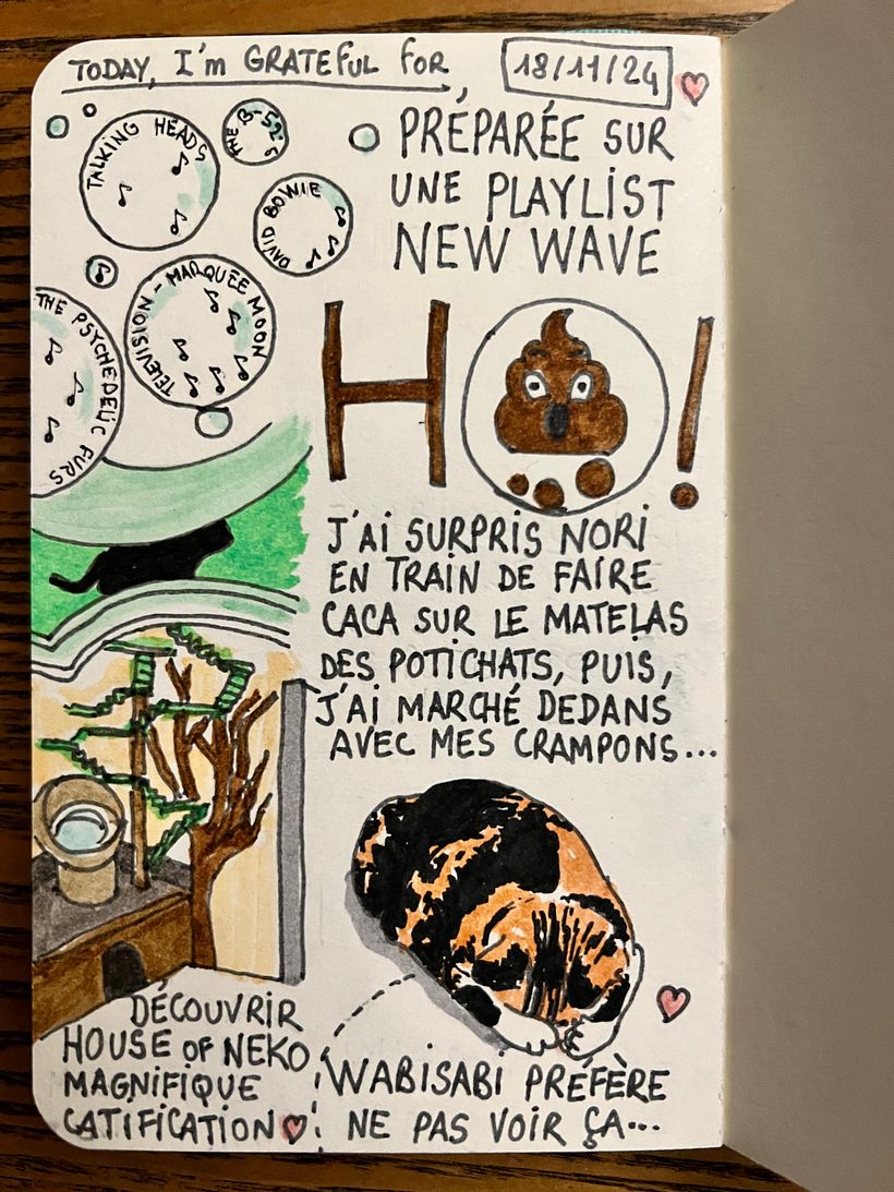 Carnet de gratitude : November 2024 1