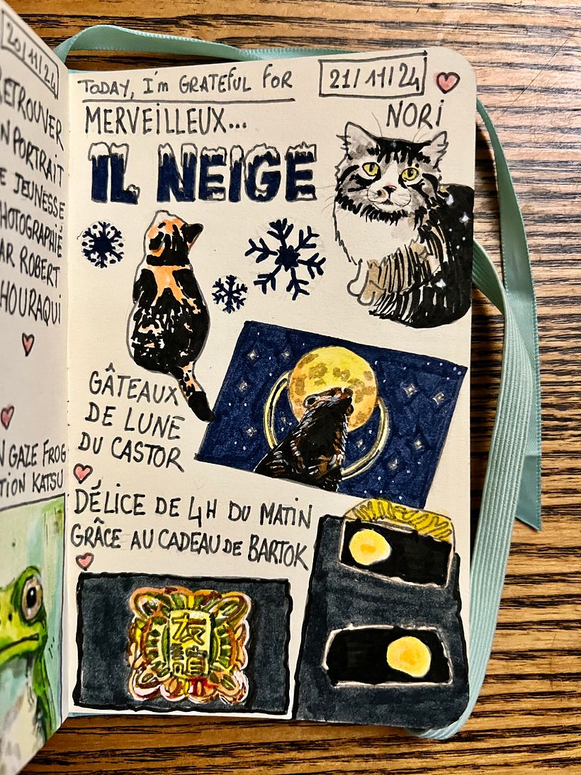 Carnet de gratitude : November 2024 1