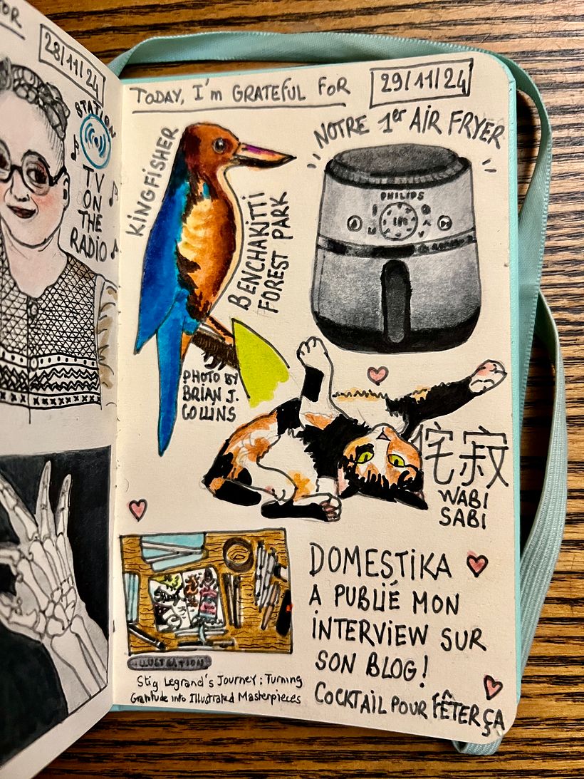 Carnet de gratitude : November 2024 1