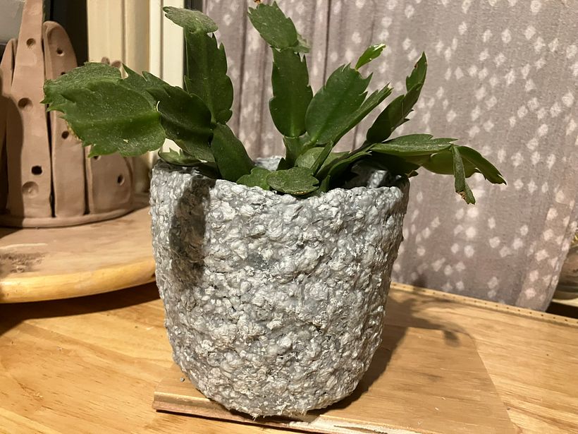 Paper pulp objects 1