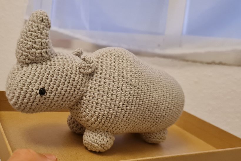 Rinoceronte terminado 