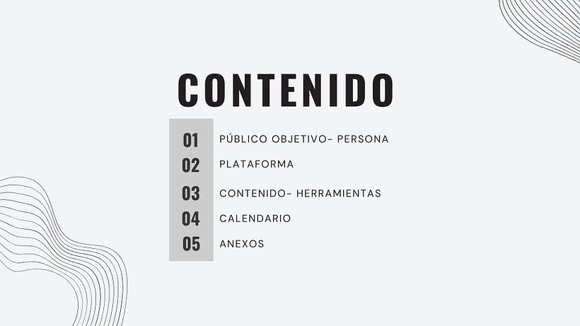 Proyecto final de Content marketing 2