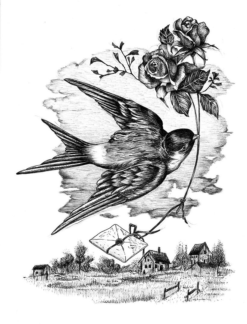 Kırlangıç - Bic kalemle yapılmış bir çizim 1