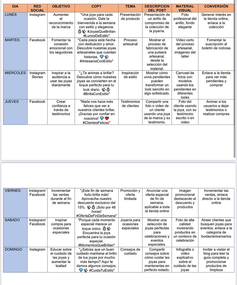 MI PROYECTO DEL CURSO: Estrategia de marketing digital para lanzar productos o servicios 1