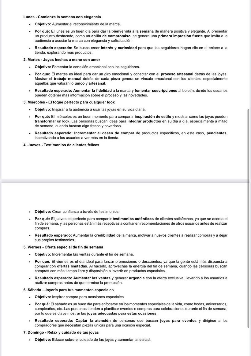 MI PROYECTO DEL CURSO: Estrategia de marketing digital para lanzar productos o servicios 2