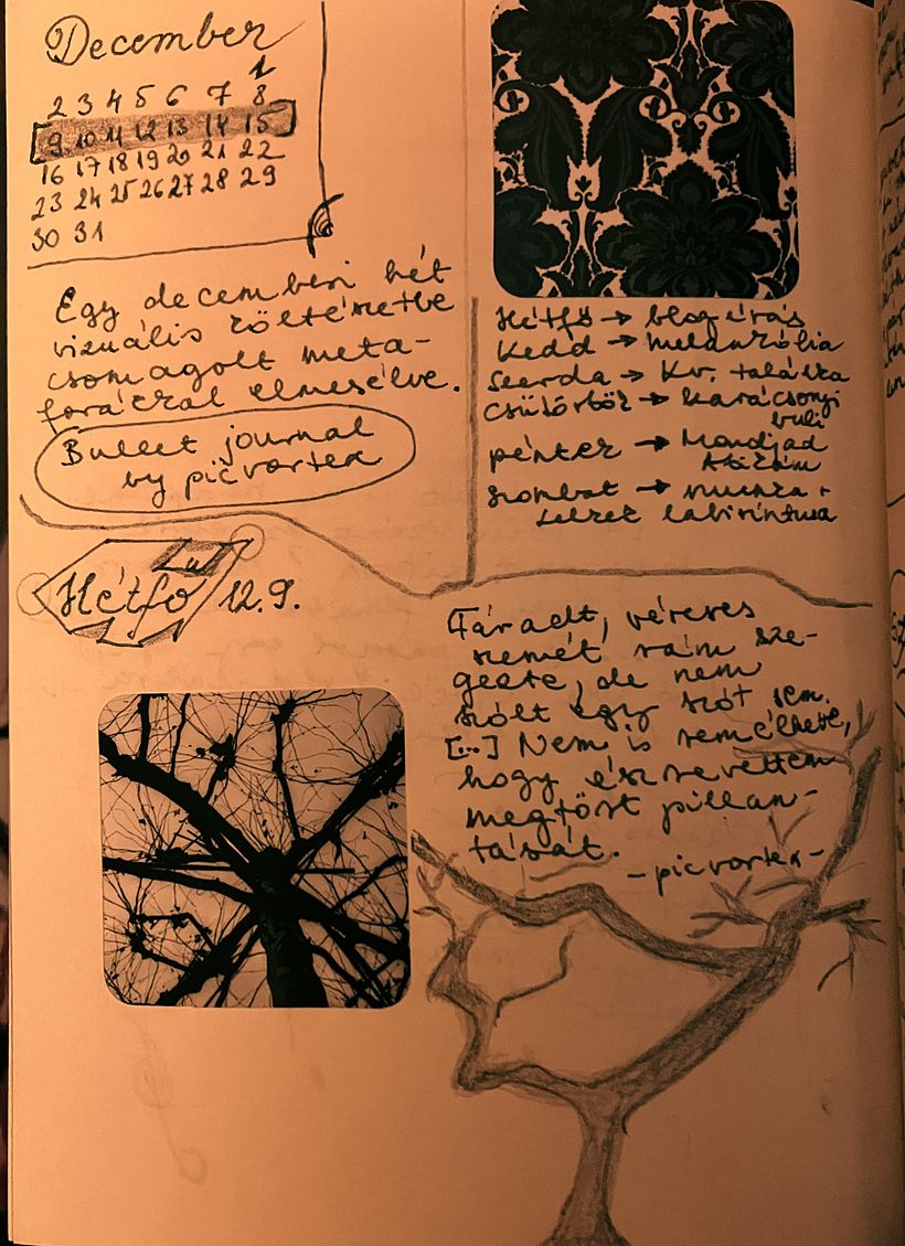 Visual story of a december week 1