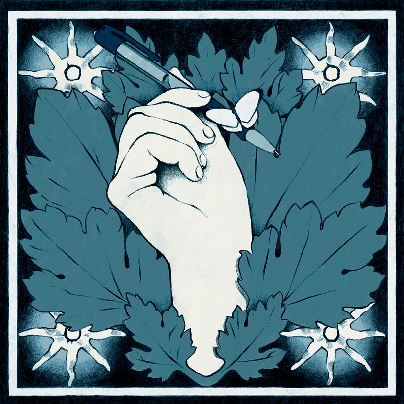 Proyecto Imagen de Perfil 1