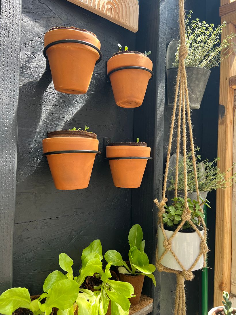 My Shed 3