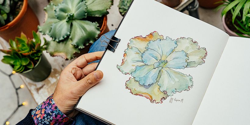Botanical Illustration