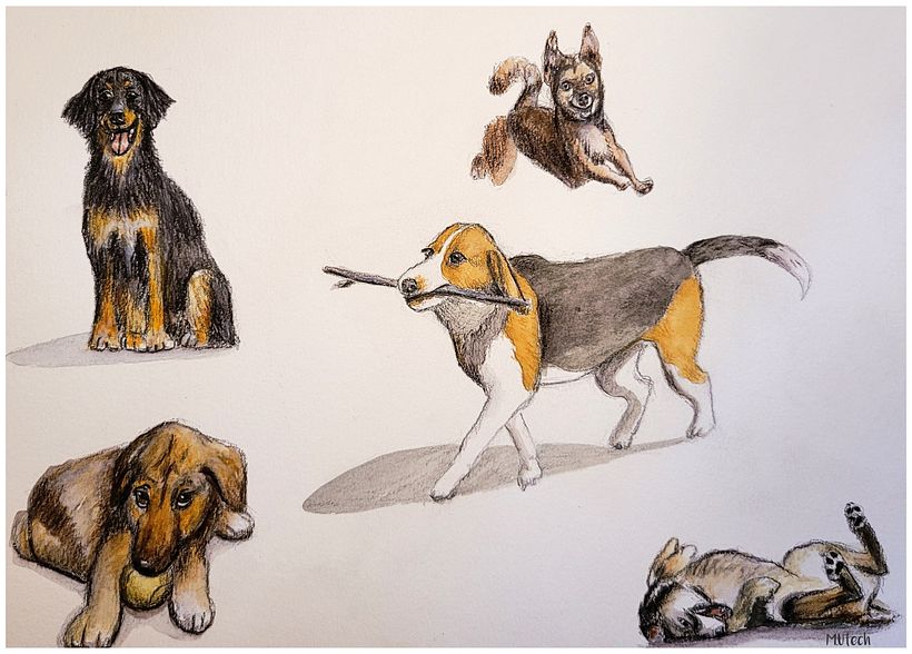 Abschlussprojekt Aufgaben des Onlinekurses *Spezialisierung in Sketching-Techniken* 1