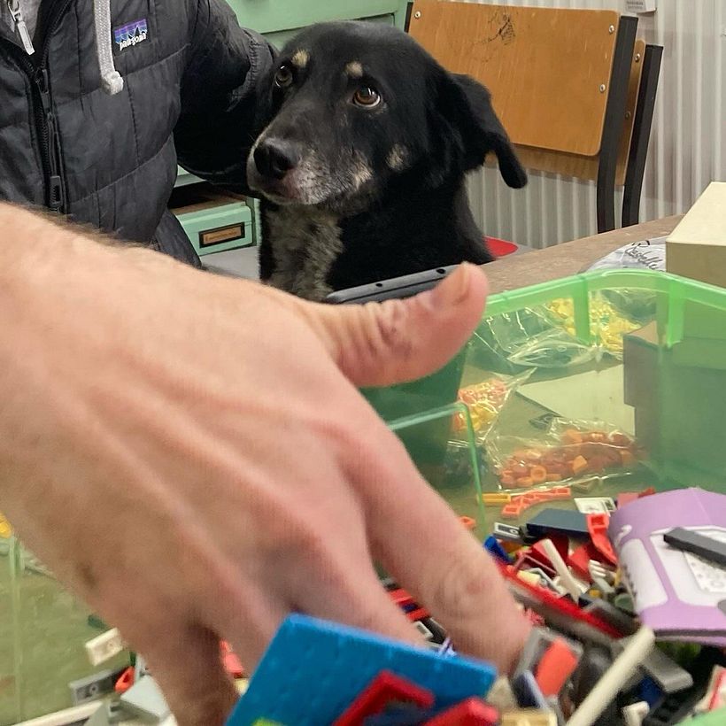 Legoprinted Christmascards 2