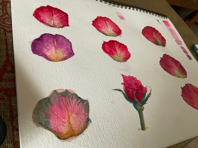 Bouquet de pétales 1