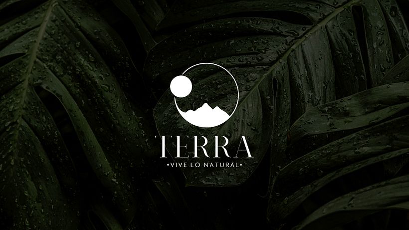Proyecto Branding Terra 1