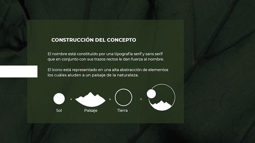 Proyecto Branding Terra 2