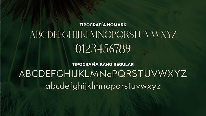 Proyecto Branding Terra 4