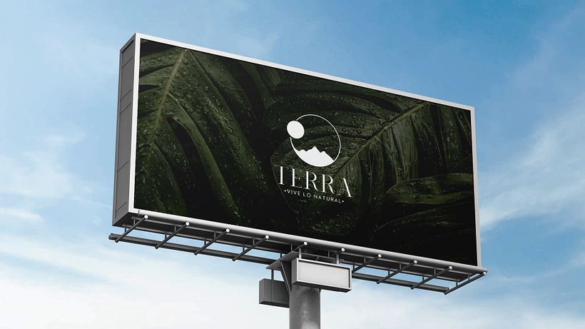 Proyecto Branding Terra 1