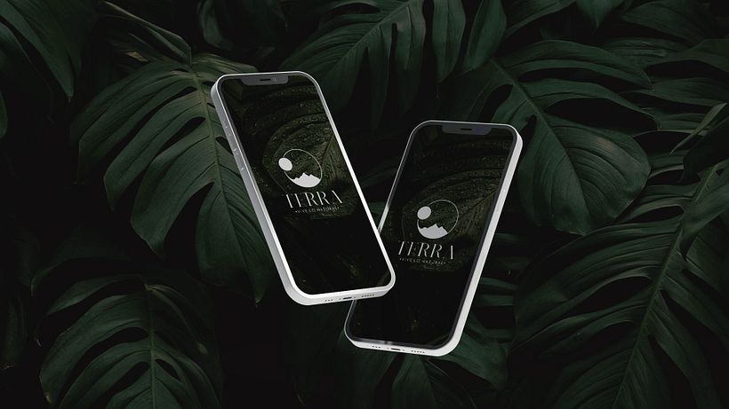 Proyecto Branding Terra 2