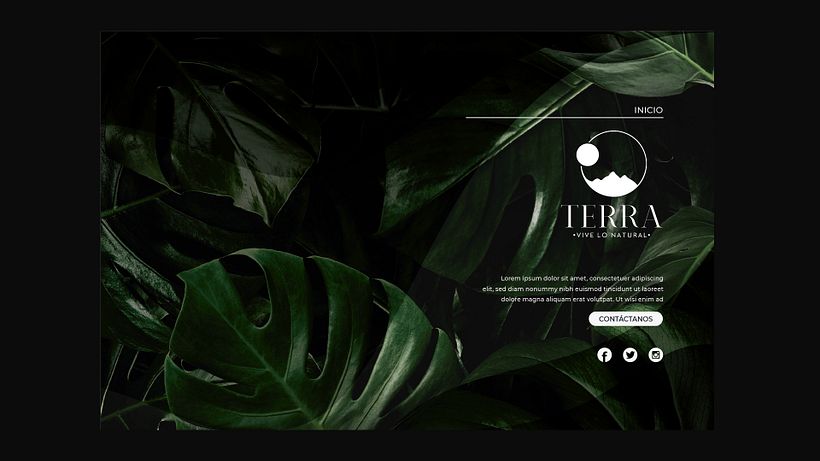 Proyecto Branding Terra 3