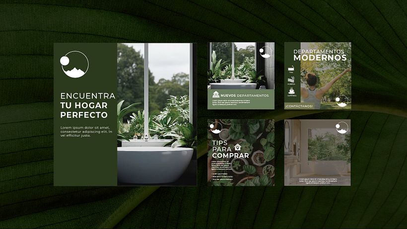 Proyecto Branding Terra 5