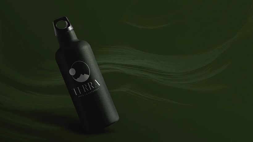 Proyecto Branding Terra 6