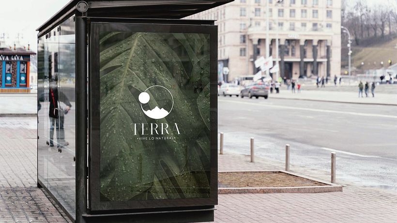 Proyecto Branding Terra 7