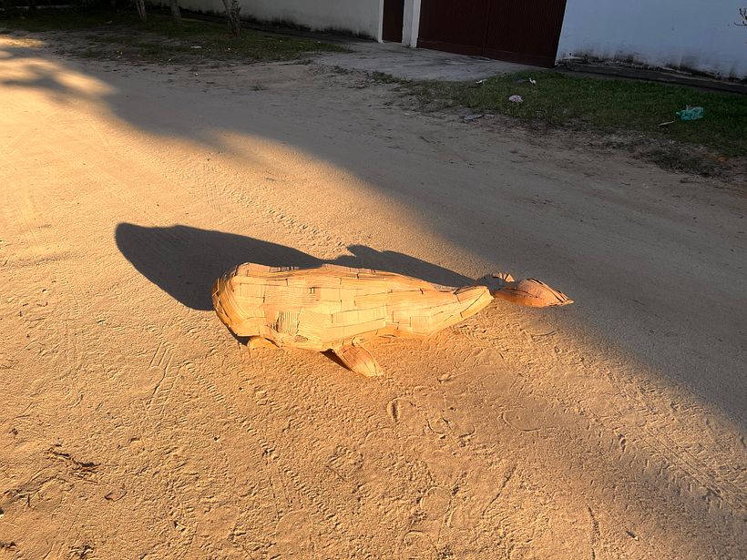Baleia 🐳 cachalote  2