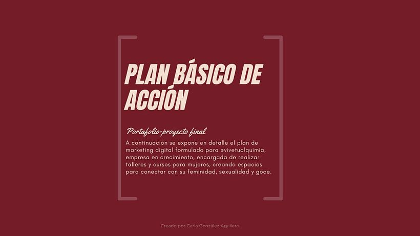 Plan básico de acción 1