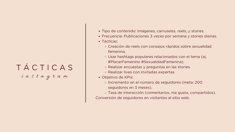Plan básico de acción 1