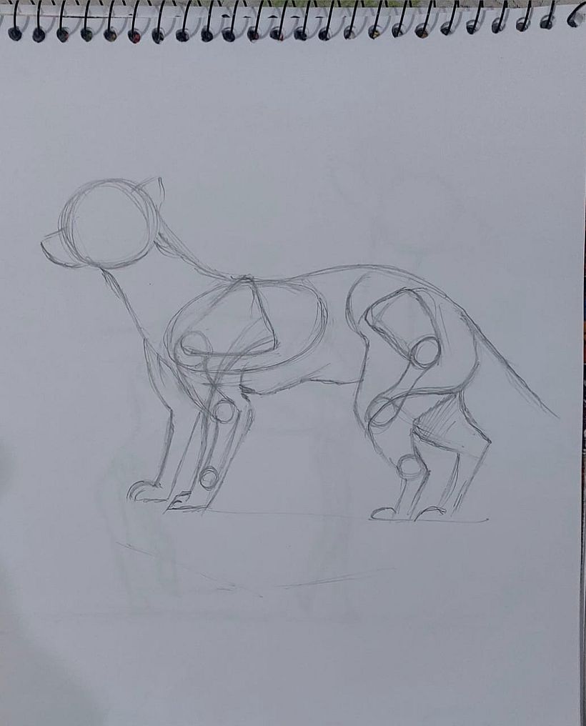 First day of drawing practice 3