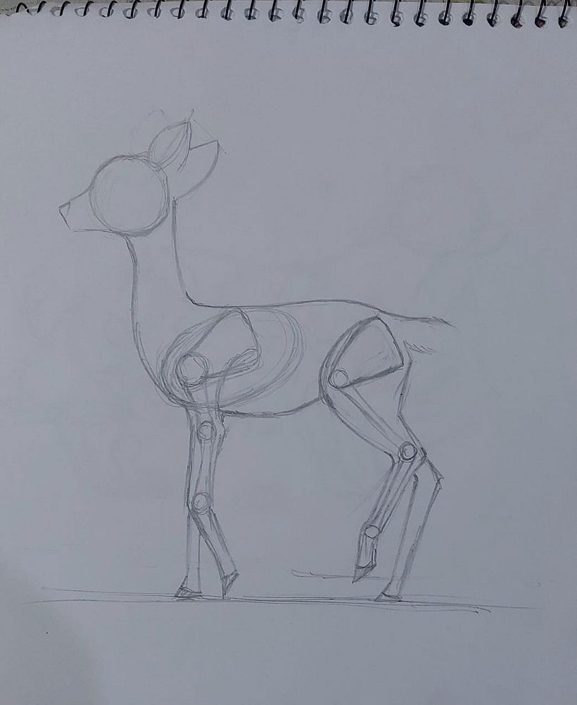 First day of drawing practice 6