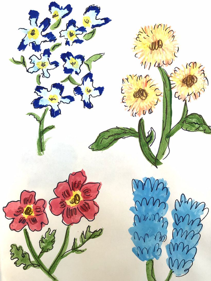"Il fiore che sboccia nelle avversità è il più raro e il più bello di tutti" (Walt Disney, Mulan)