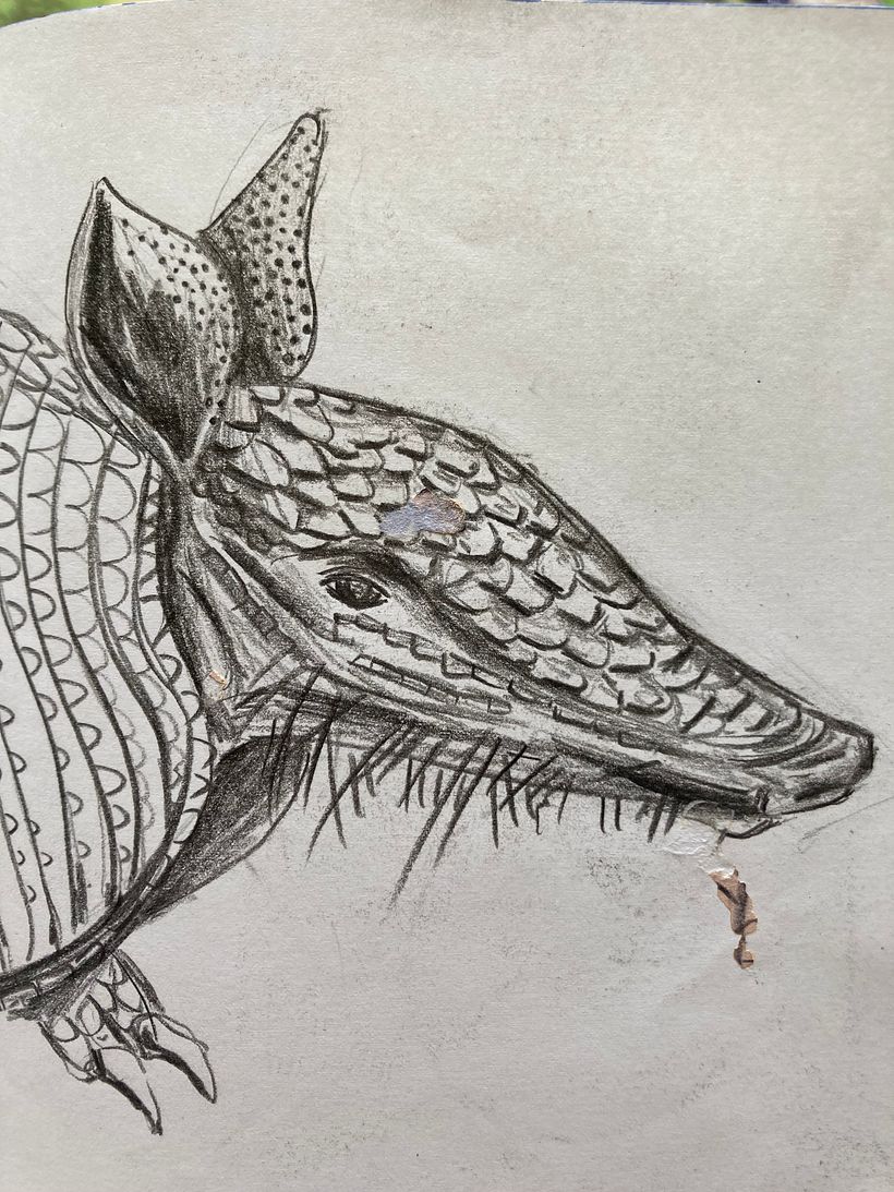Bordado creativo: armadillo 2