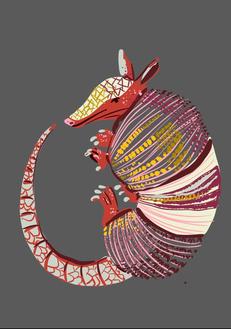Bordado creativo: armadillo 3