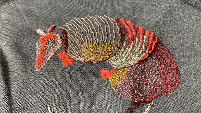 Bordado creativo: armadillo 3