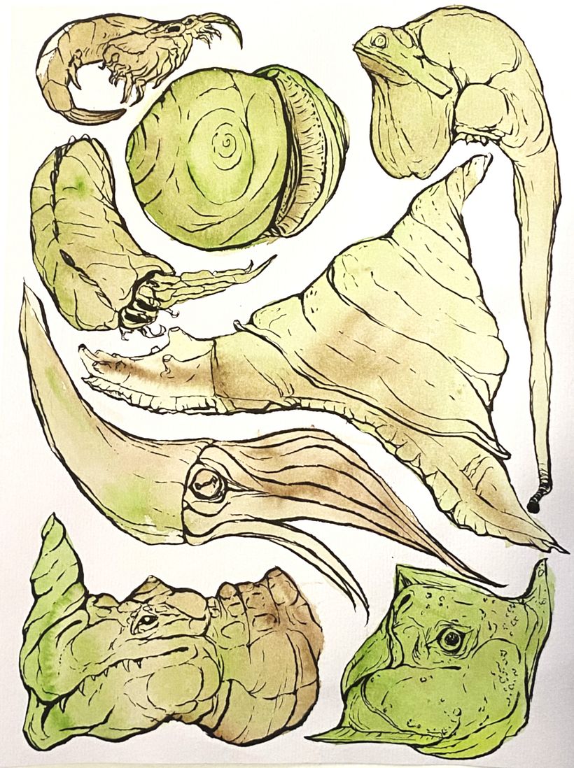 Creature Sketching Project 1
