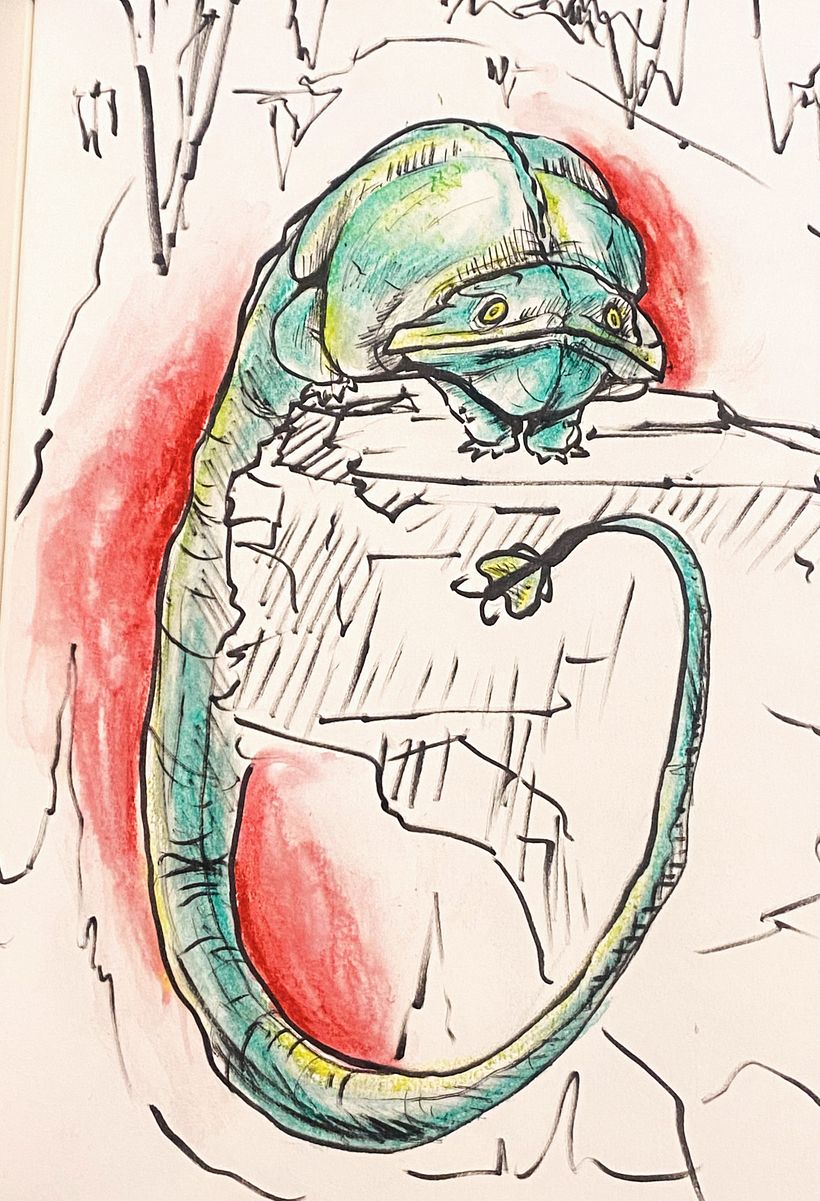 Creature Sketching Project 1