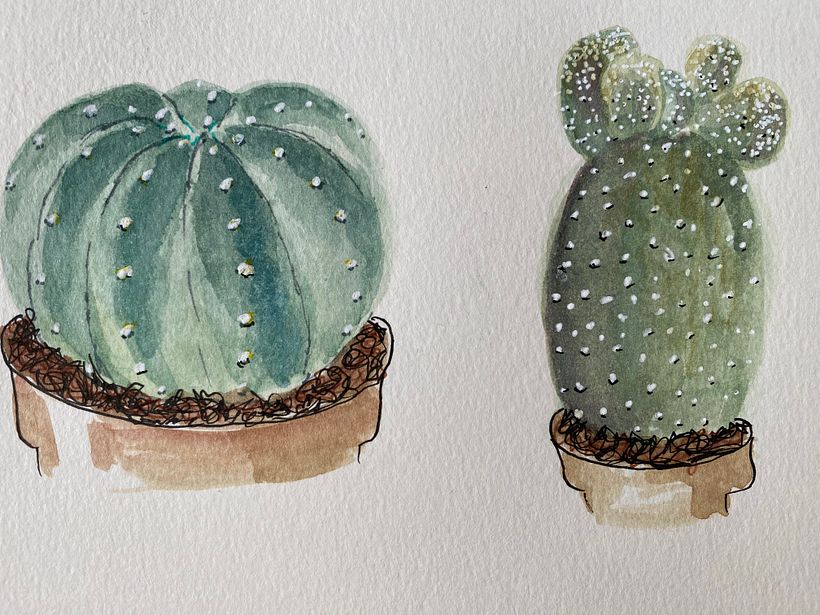 Meditative Botanical sketches 1