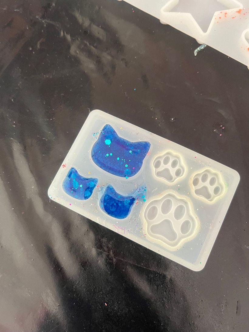 Proyecto final Curso Resina  1