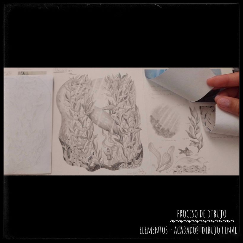 Elementos y Dibujo final