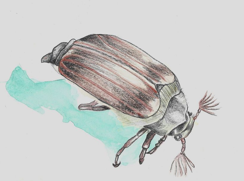 proyectos de dibujos experimentales 5