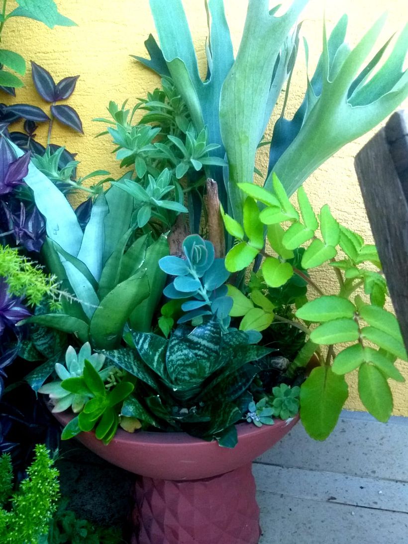 MINHA CASA 6